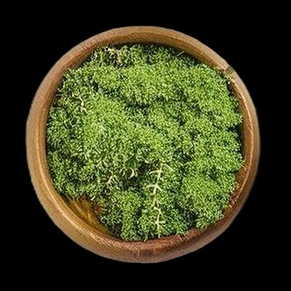 Parsley