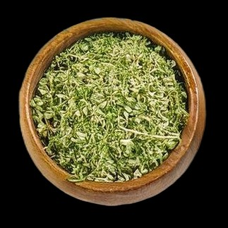 Oregano