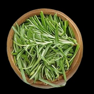 Rosemary