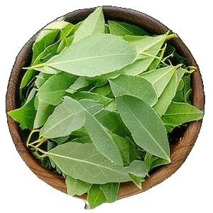 Bay Leaf