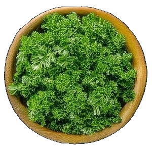 Curly Parsley