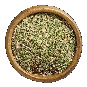 Rosemary