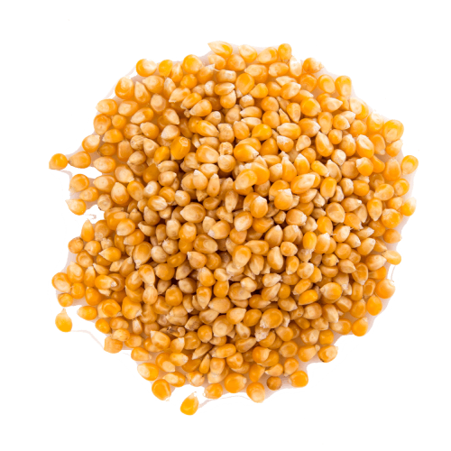 Sweetcorn